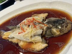 -华膳楼·安徽地标美食·中华餐饮名店(文化公园店)