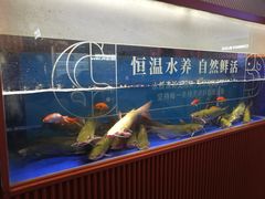 水产区-鱼上·烤鱼(万象城店)