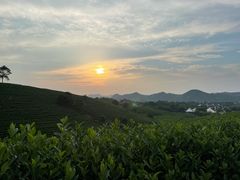 -帐篷客·溪龙茶谷度假酒店