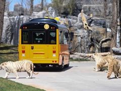 -北京野生动物园