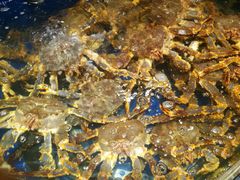 -海景壹号大酒店(滨湖店)