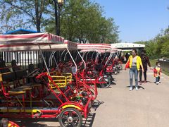 -永定河休闲森林公园