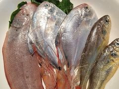 -高佳庄·海鲜酒楼(定海店)