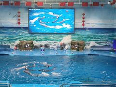 -多彩贵州城极地海洋世界