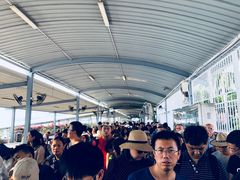 -国际邮轮中心码头(厦鼓码头)