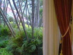 -鼓浪屿钢琴博物馆