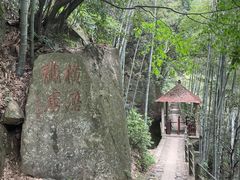 -莫干山风景区