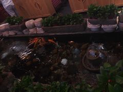 -有梦特色餐厅(古子城店)