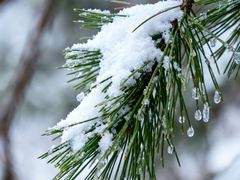 -洛阳白云山景区