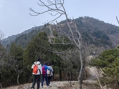 -大鹅岛灶台鱼·铁锅炖(水库路店)