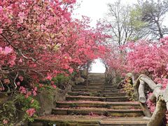 -木兰云雾山
