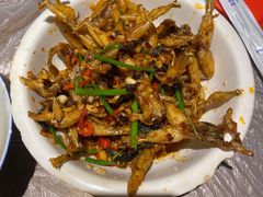 爆炒田鸡-壹盏灯(惠农店)