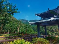 -清溪森林公园
