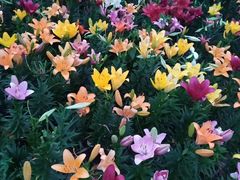 -长春公园(普阳街道)