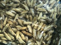 -雅逸居海鲜小厨