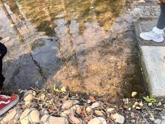 -白水寺森林公园