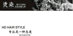-HD HAIR STYLE