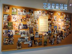 -翊宠yipet猫狗购宠庄园