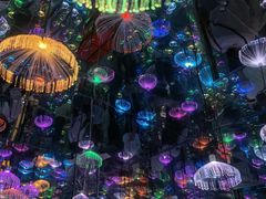 -梵高星空艺术馆(北京旗舰店)