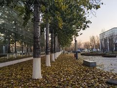 -北京国家会计学院