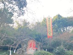 -杭州黄龙洞