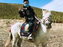 -扁都口生态休闲旅游区