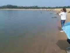 -瑶湖郊野森林公园