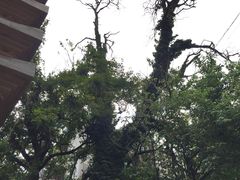 -大德寺双塔