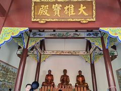 -神光山国家森林公园