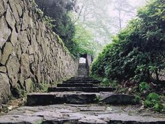 -莫干山风景区