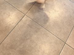 -荆九爷爆炒桥头三嫩(云南北路店)