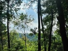 -南国桃园旅游度假区