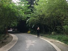 -成都动物园