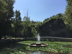 -紫海香堤香草艺术庄园