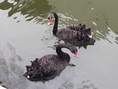-陈云纪念馆