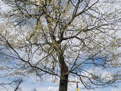 -硗碛藏寨·神木垒景区