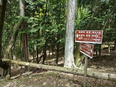 -比叡山