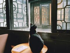 -猫的天空之城概念书店(杭州南宋御街店)