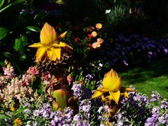 -广州市白云山风景名胜区