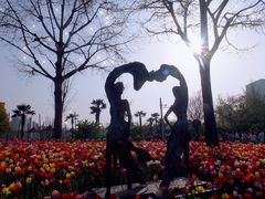 -大宁郁金香公园-停车场