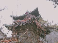 -迎泽公园
