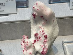 -湖南省地质博物馆