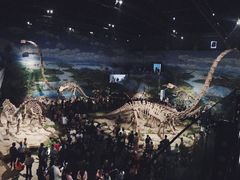 -自贡恐龙博物馆