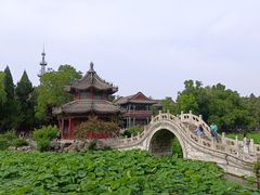 -莲池书院博物馆