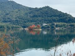 -广州市流溪河国家森林公园