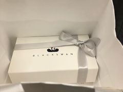 -BLACKSWAN黑天鹅(环球店)