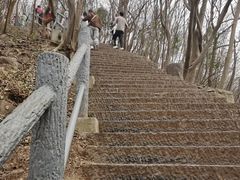 -紫金山山顶公园