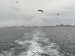 -海驴岛(荣成市)