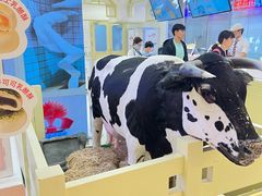 -红星前进面包牛奶公司(君太店)