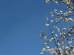 -东平国家森林公园